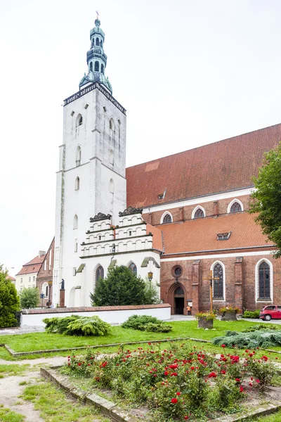 Basiliek van Saint John, Olesnica, Neder-Silezië, Polen — Stockfoto