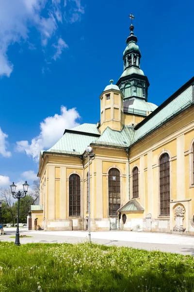 Holy Cross, Jelenia Gora yüceltme Kilisesi — Stok fotoğraf