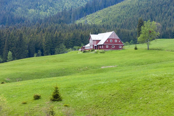 Pomezni 小屋，Krkonose (巨人山脉)，捷克共和国 — 图库照片