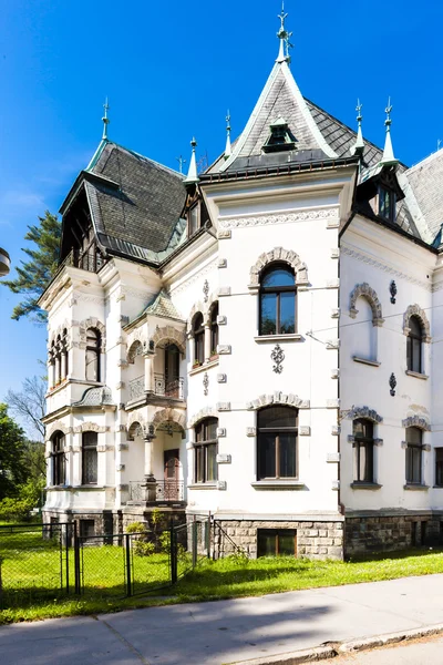 Villa von riedl, desna, Tschechische Republik — Stockfoto