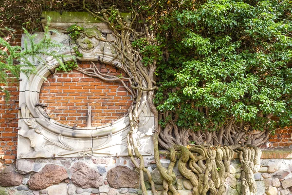 Détail mur, Château de Malbork, Poméranie, Pologne — Photo