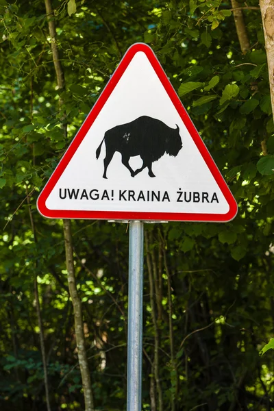 Bialowieski national park, Podlaskie Voivodeship — Stock Photo, Image