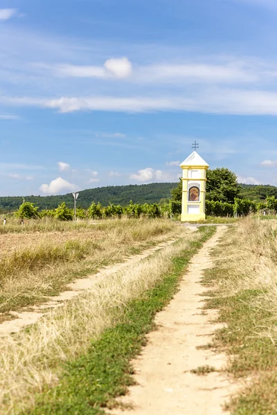 Wayside with vineyard near Retz — Stock Photo, Image