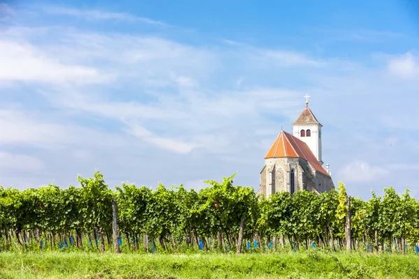 Chiesa con vigneto, Kirchenberg, Bassa Austria — Foto Stock