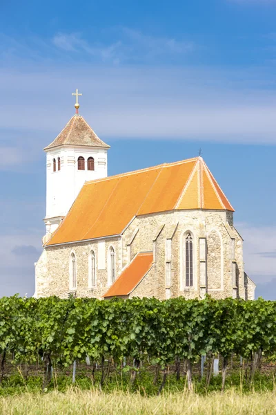 Church with vineyard, Kirchenberg, Lower Austria — Stock Photo, Image