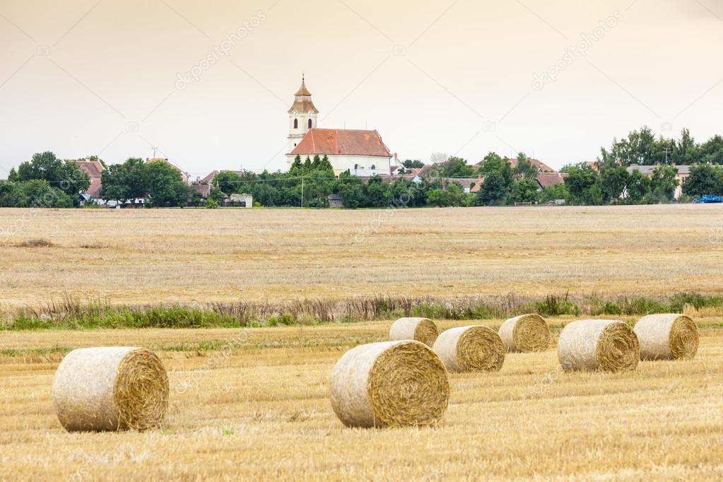 Vratetin with grain field, Czech Republic