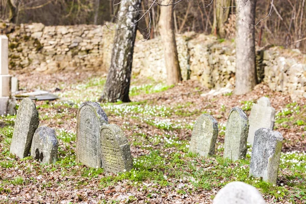 Еврейское кладбище, Бателов, Чехия — стоковое фото