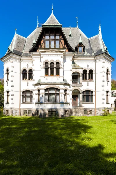Villa de Riedl, Desna, République Tchèque — Photo