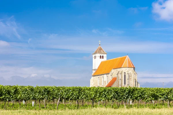 教会与葡萄园，Kirchenberg，低奥地利 — 图库照片