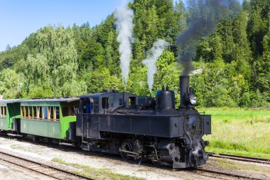 buharlı tren, Lunz am See, aşağı Avusturya
