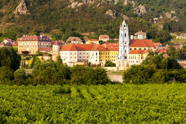 Dürnstein och vingård i Wachau-regionen och Fäll ned Österrike — Stockfoto