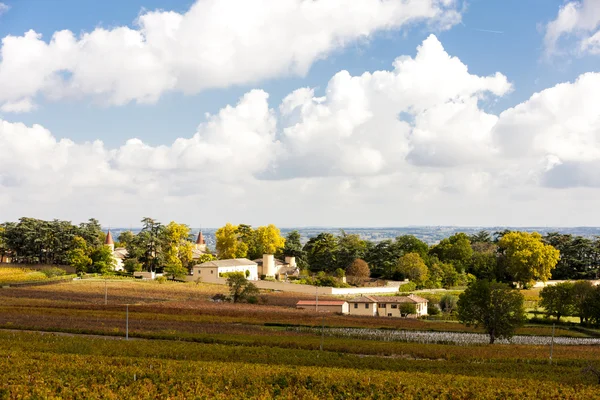 Vineyards near Odenas, Beaujolais, Rhone-Alpes — Stock Photo, Image