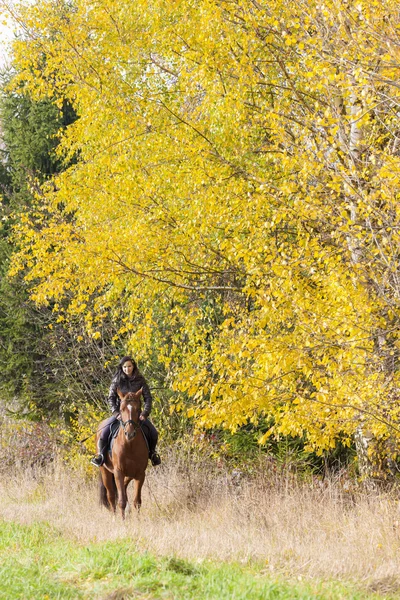 Equitazione a cavallo nella natura autunnale — Foto Stock