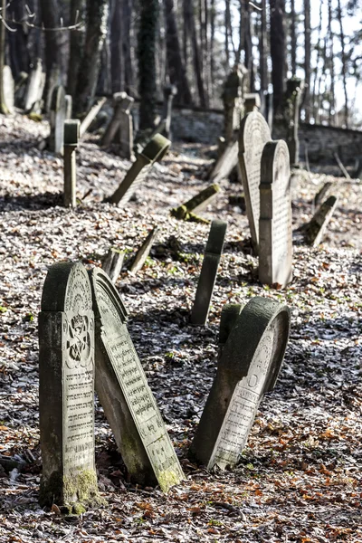 ユダヤ人墓地、デリューズ、チェコ — ストック写真