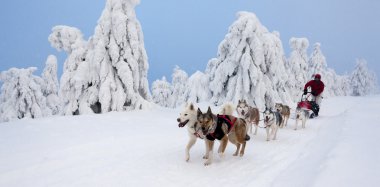 Sedivacek 'in uzun, Çek Cumhuriyeti kızak yarışı