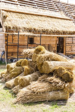 Wdzydzki Park Krajobrazowy Kaszubski etnografik parkta