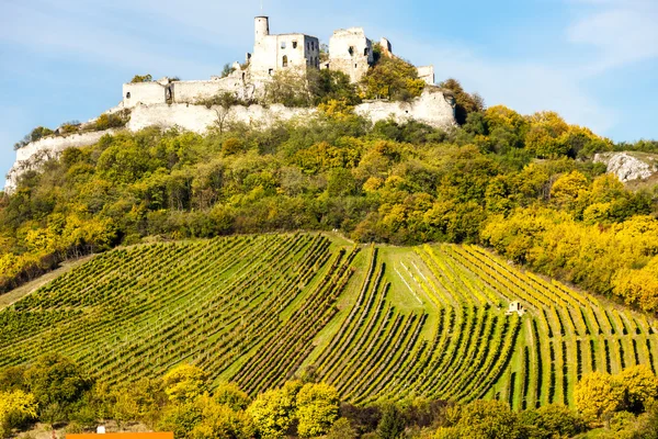 Burgruine Falkenstein mit Weinberg im Herbst — Stockfoto