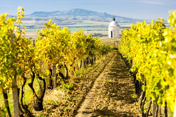 Cappella con vigneto vicino Velke Bilovice — Foto Stock