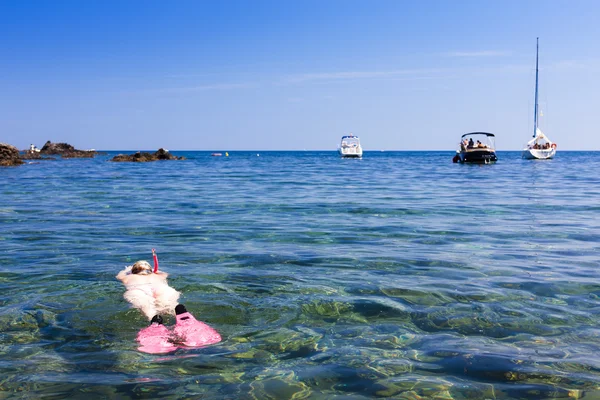 フランス地中海海でシュノーケ リング — ストック写真