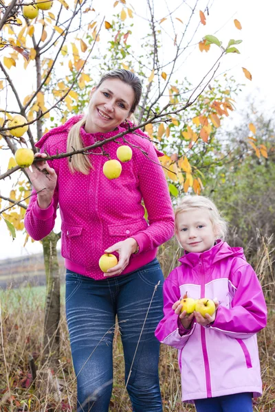 母と娘の秋りんごの木と — ストック写真