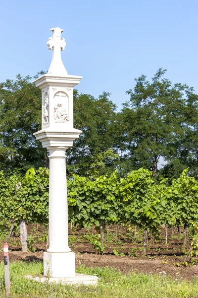 Wayside with vineyard near Unterretzbach, Нижняя Австрия — стоковое фото