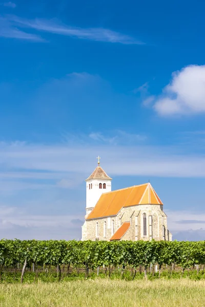 Kyrkan med vingård, Kirchenberg, Fäll ned Österrike — Stockfoto