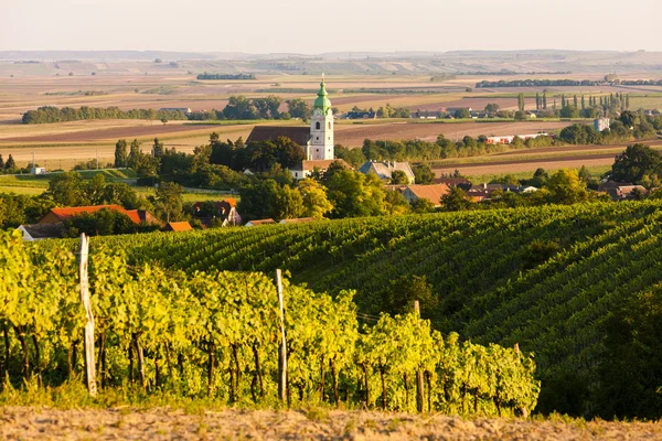 Winnicy w pobliżu Unterretzbach, Lower Austria — Zdjęcie stockowe