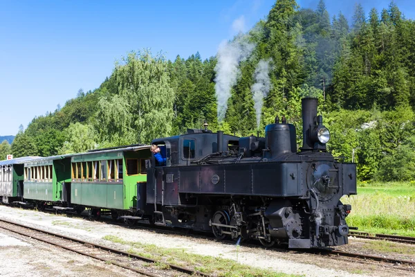蒸気機関車、Lunz ・ アム ・ ゼー、低いオーストリア — ストック写真
