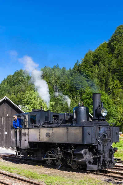 Locomotiva a vapor, Lunz am See, Baixa Áustria — Fotografia de Stock
