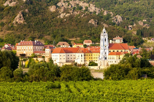 Durnstein e vinha na região de Wachau, Baixa Áustria — Fotografia de Stock