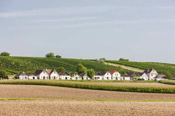 Vinkällare med vingård, Diepolz, Fäll ned Österrike — Stockfoto