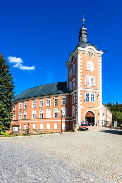 Palacio en Kamenice nad Lipou, República Checa — Foto de Stock