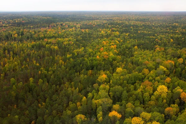 Vista aérea de la taiga siberiana —  Fotos de Stock