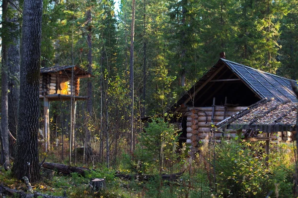 Sibirya'da Ranger kabin