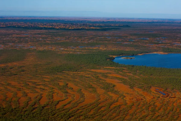 Sibirya'da Peatland havadan görünümü