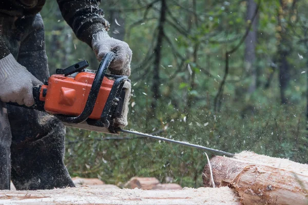 Chainsa işçinin elleriyle