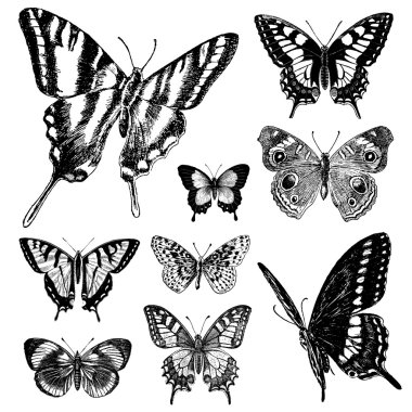 Vektör Vintage kelebekler