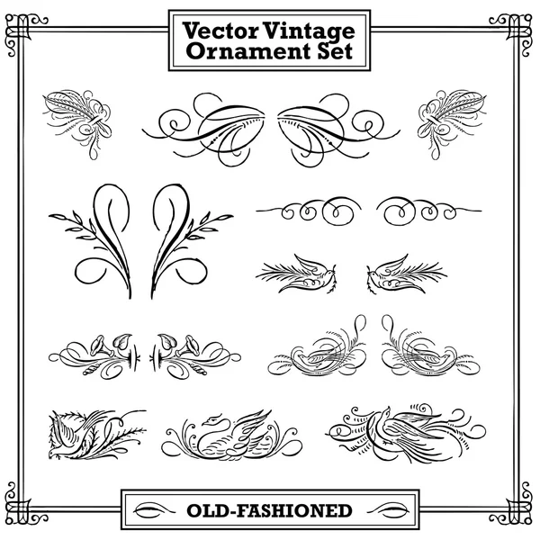 Conjunto de vectores ornamentos decorativos. — Vector de stock