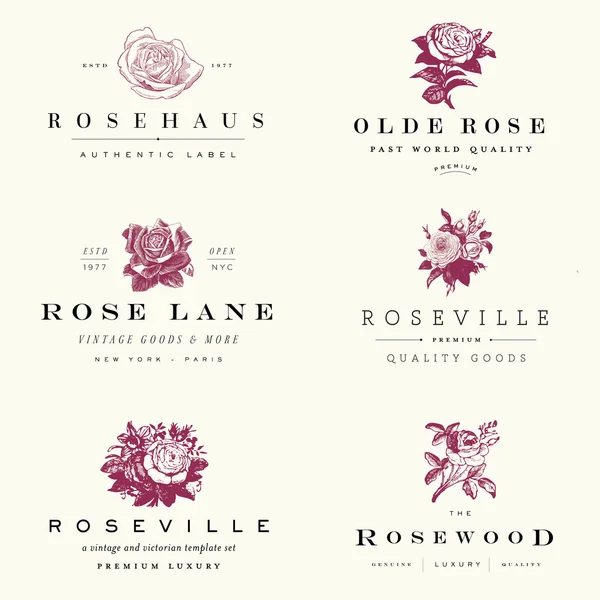 Vektör Rose Logo koymak — Stok Vektör