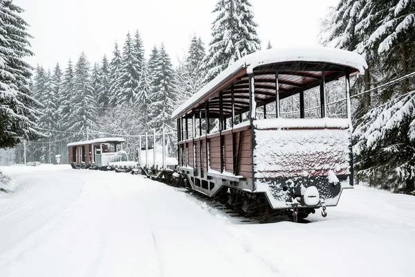Strada ferroviaria nella foresta invernale — Foto Stock