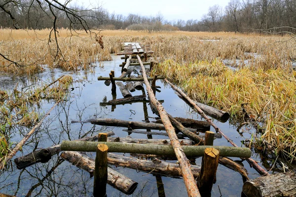 Bridge on lake — Stock Photo, Image