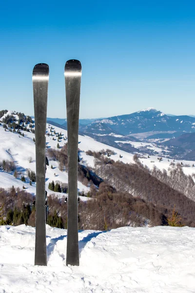 Ski auf Berggipfel — Stockfoto