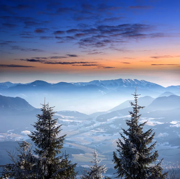 Valle del invierno a la hora de la tarde — Foto de Stock