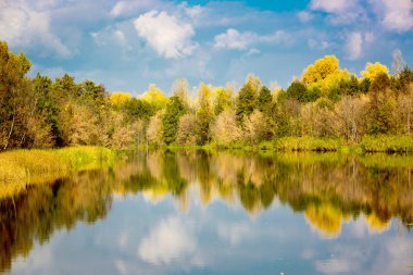 Göl kenarında sonbahar