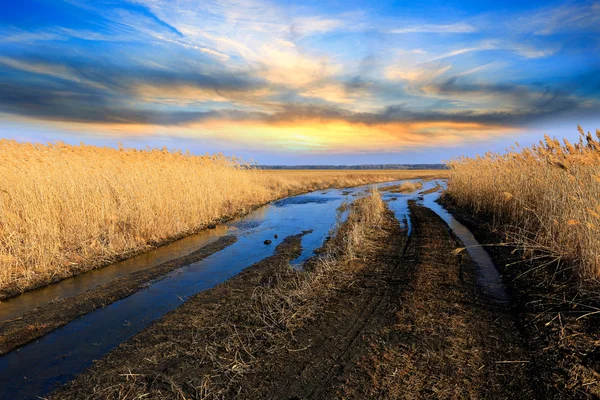 Schmutzige Straße in der Steppe — Stockfoto