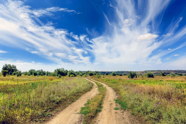 草原の田舎道 — ストック写真