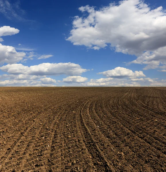 Campo arado agrícola — Fotografia de Stock