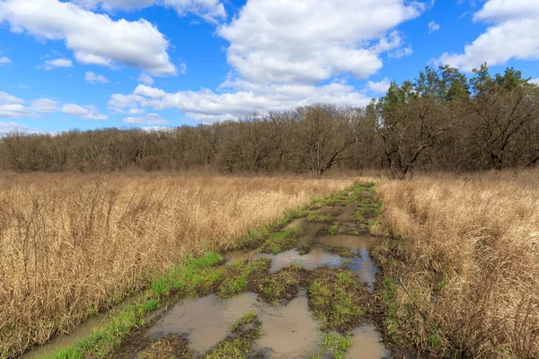 春の草原上の水たまりで汚れた道路 — ストック写真
