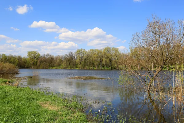 Cena primavera no lago — Fotografia de Stock