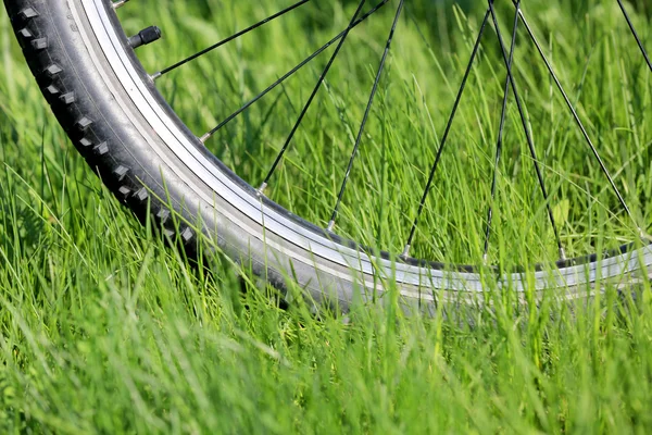 Roda de bicicleta na grama no prado — Fotografia de Stock